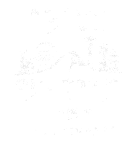 above-seattle-layers